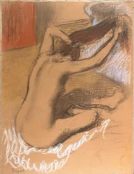 Woman Combing Her Hair
